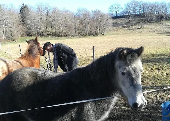 4 Etoiles Nature En Auvergne By Cantal Emotions Ch