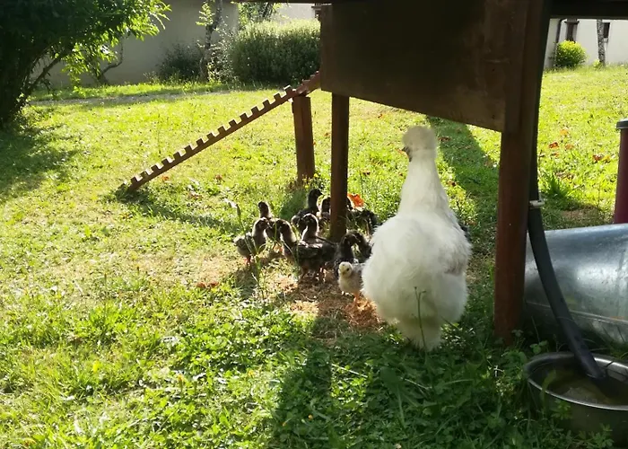 4 Etoiles Nature En Auvergne By Cantal Emotions Ch Prázdninový dům *